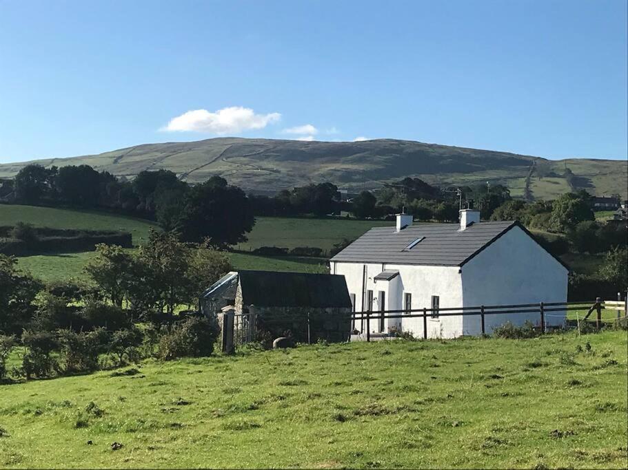 Mournes Family Cottage With Hot Tub Hilltown Eksteriør billede