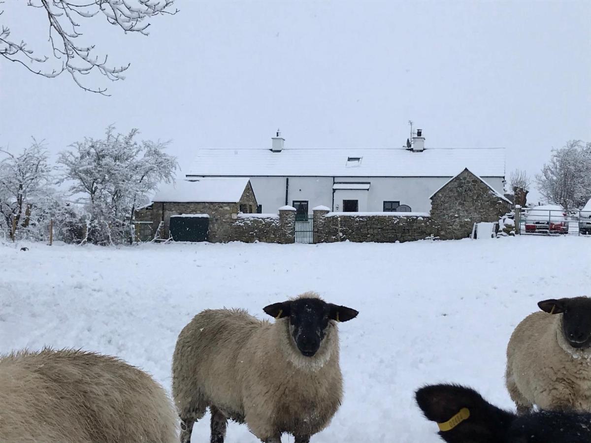 Mournes Family Cottage With Hot Tub Hilltown Eksteriør billede