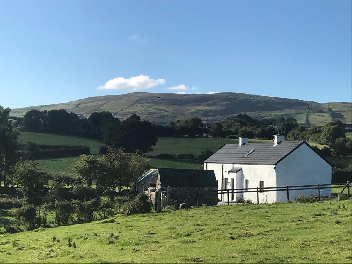 Mournes Family Cottage With Hot Tub Hilltown Eksteriør billede
