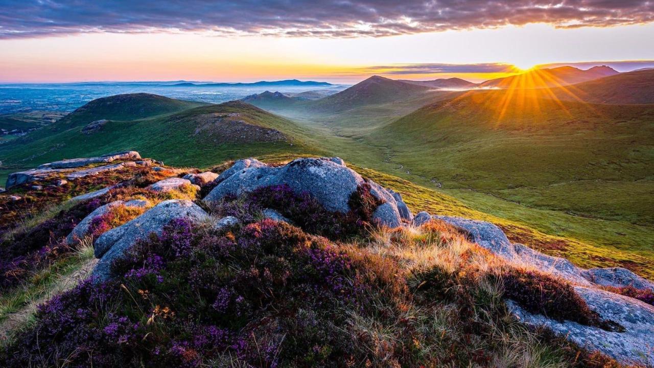 Mournes Family Cottage With Hot Tub Hilltown Eksteriør billede